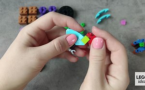 乐高10698拼搭：动物园