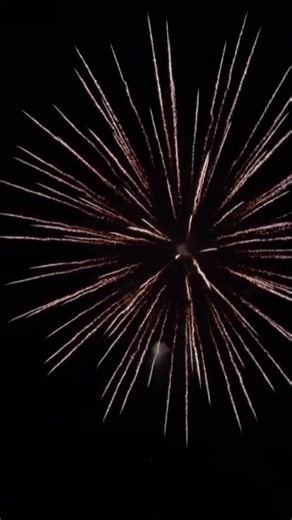 3K views · 57 reactions | 4 Inch 16 Shots Firework Shell Cake With Tail 2025 #fireworks #fireworksdisplay #fireworkshow #pyro #4thofJuly #pyrography #huge | Firework Cloud | Facebook