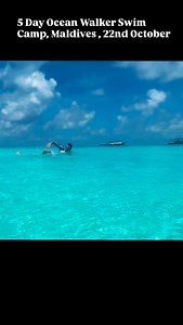What can be achieved……… Ocean Walker Swim Camp Maldives 22nd October. Last few spots remain 🏊‍♂️ Checkout oceanwalkeruk.com or email oceanwalkeruk@gmail.com #oceanwalkertechnique #adamoceanwalker | Adam 'Ocean' Walker