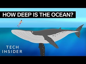 This Incredible Animation Shows How Deep The Ocean Really Is Video Lecture - Class 7