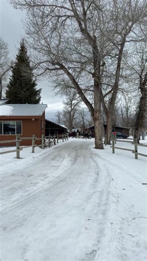 Parade Rest Ranch on Reels