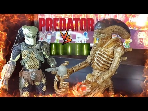 ALIEN VS PREDATOR💥NECA VS BOOTLEG🔥Who Will Win?