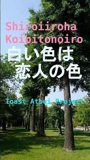 Shiroiiroha Koibitonoiro tapsv0102 #白い色は恋人の色 #ShiroiirohaKoibitonoiro #とーすとあついアレンジ