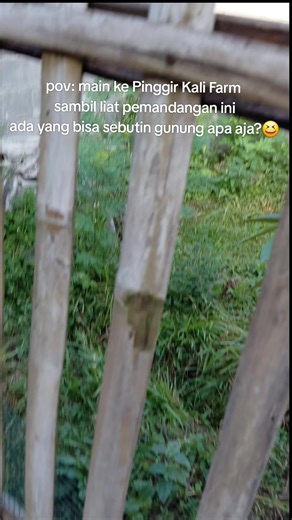Di Pinggir Kali Farm, kamu bisa loh cek langsung hewan kurban pilihan kamu sekaligus lihat pemandangan alam yang BAGUSSS BANGET! Yuk chat nomor dibawah ini untuk buat janji👇🏻 📱 WhatsApp: 081330432113 🏠 Alamat: Pinggir Kali Farm https://maps.app.goo.gl/rs82TDNTv3BeuV3f #CapCut #hewankurban #malang #peternakmilenial
