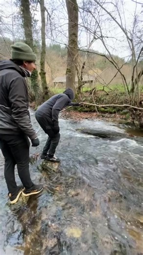 Videos de AMAYA-CHAN (@reproductor.mp3) con “sonido original - AMAYA-CHAN”