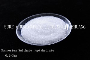 [Hot Item] Magnesium Sulphate/ Chemical Fertilizer Magnesium