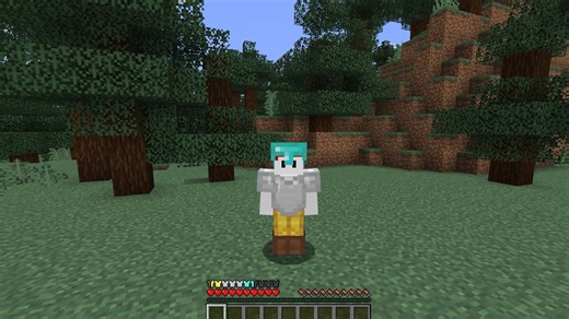 Minecraft armor display feature