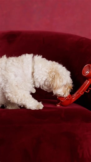 Winter's calling. And we're answering with pieces made to party. | White Stuff