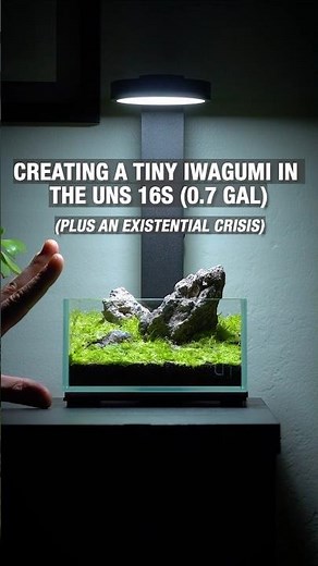 The Perfect Desktop Aquarium 👌🏼