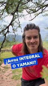 👇 DESCRIPCIÓN 👇 Arroz yamani comparado con arroz integral: Desde lo nutricional, son muy similares si ambos conservan salvado y germen. Más fibra que el arroz blanco Vitaminas del grupo B Minerales como magnesio y fósforo Índice glucémico más bajo que el refinado La diferencia principal no es nutricional, sino de textura y digestibilidad: 🔹El yamani suele ser más blando y mejor tolerado por personas con digestión sensible. 🔹El integral “clásico” puede resultar más pesado en algunos casos. 👉