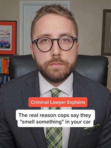 What cops mean when they say they smell something... Know your rights and protect your interests. #TheSafirLawyer #CriminalDefense #CriminalDefenseLawyerFlorida #KnowYourRights #stpetersburg #stpetersburgflorida #tampabay #tampa #criminaldefenselawyer #stpete #Lawyer #criminaldefenseattorney #floridalawyer #DUIDefenseAttorney #knowyourrights #traffictips #PoliceMistakes #dwi #AccidentAttorney #DUI