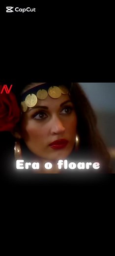 #inimadetigan #nicoleta #luciu #roza TikTok