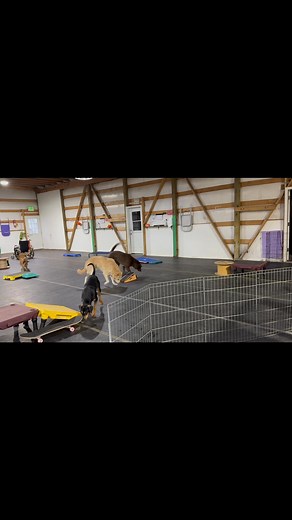 11 reactions | Our Day Training has 3 Core Training Sessions, Group...