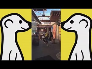 Instantly stream your life with Meerkat