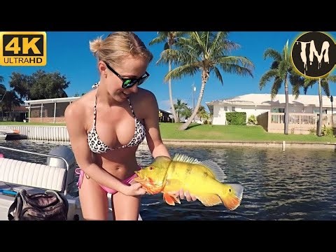 Moments Of Instant Karma Caught On Camera | Instant Regret Fails Compilation 2026 #309