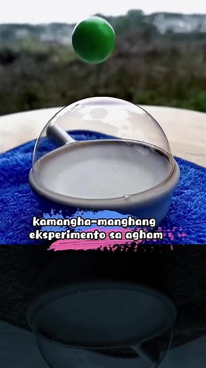 Engaging Science Experiments with Everyday Objects