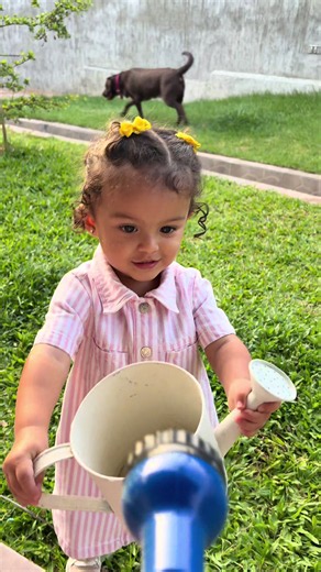 Maria Eugenia Lopez Contreras — Profile Search 2801yl