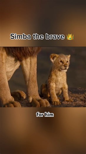 “Simba’s first lesson about life… and the kingdom he will inherit.”