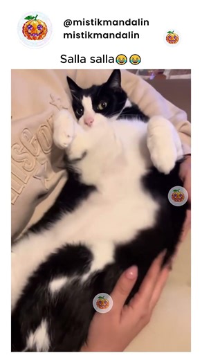 Salla salla 😂😂 İg @alikowashere