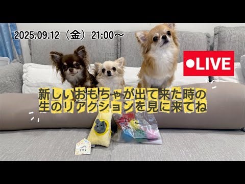 ちわっす兄弟チャンネル がライブ配信中！