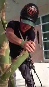 Palo Verde pruning demo by Rhonda Wood