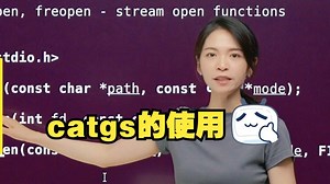 【C语言】catgs的使用
