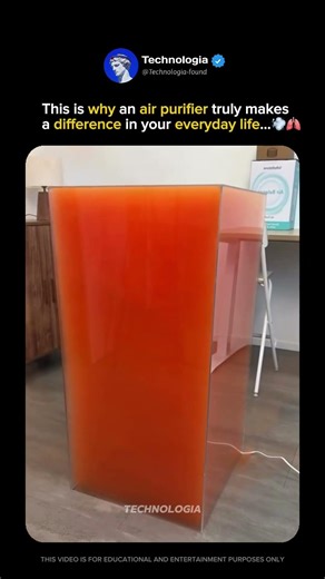 Why an air purifier is an essential in everyday houses…🫁💨