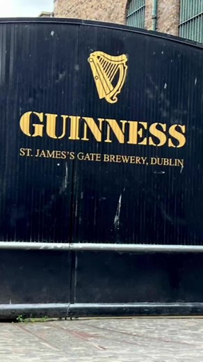 SLONGÉ 🍻 #guiness #ireland #guinessbeer #slongé