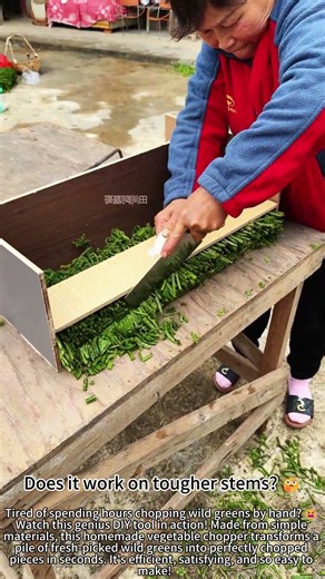 DIY Wild Veggie Chopper – Saves So Much Time! 😮