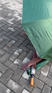 Quality umbrellas. Do not fear movements because we have the weapons for moving in the rain season😜 We have umbrellas for K7️⃣0️⃣ and K9️⃣0️⃣ all great quality and high standard. Directions for our stores 📌📌 Our New store is located along chachacha road opposite kariba house (where there is a Zesco Branch) right before Dapp (the dapp with a mirror like entrance) as you are coming from kulima tower. On your left hand side you will find an open gate, enter Inside and you’ll be able to see our s