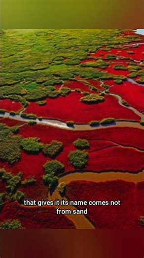 Red Beach Panjin China – The World’s Most Vibrant Coastal Wonder | Autumn Travel