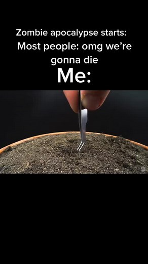 Funny Zombie Apocalypse Meme Compilation