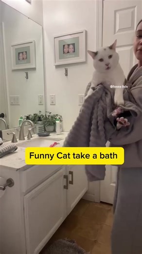 Funny Fuls on TikTok