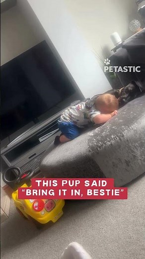 Toddler and Puppy Share the Cutest Cuddle Moment