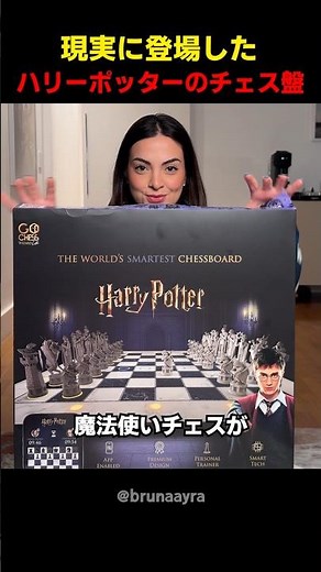 現実に登場したハリーポッターのチェス盤