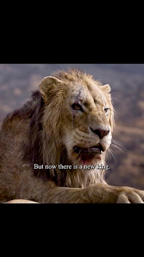 Simba's Return: The Lion King's Epic Comeback