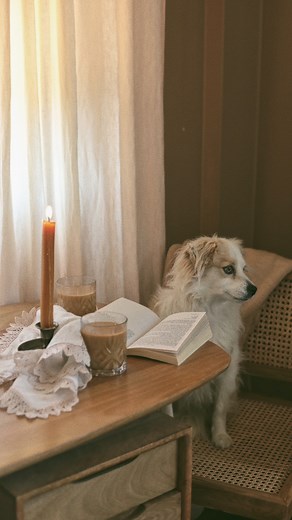 Looking for a cool iPhone video idea? Watch this and learn how to make your videos pop with seamless transitions! No matter what your subject is use these iPhone camera movements for captivating results! Don’t forget to follow us for more iPhone camera tips! #videographytips #iphonevideography #iphonecamera #video #videotransitions #cinematography #iphonevideo | iPhone Photography School