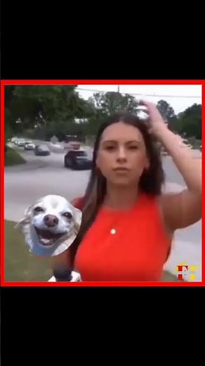 News Reporter Loses Cool Over Loud Car Horns | Annoyed on Live TV! #NewsReporter #LiveTV #CarHornb
