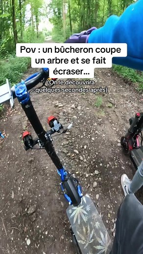 Un bûcheron se fais écraser et manque aussi de nous écraser en coupant un arbre…#bucheron #scp096 #maudit #skinwalker #hante #cris #suite #ecraser #help #viral