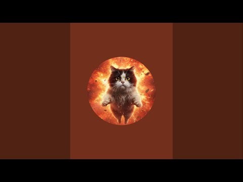 நட்சத்திர மீன்