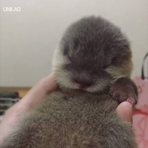 1.6M views · 26K reactions | Trying to stay awake at work like...  | UNILAD | Facebook