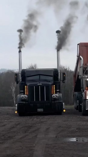 Jeepers creepers personal truck😈 What you doing if this truck starts tailgating you out in the middle of nowhere😭 If you enjoy black car content shoot me a follow that’s all I post for y’all @therealdarkfleet 🙌🏽🖤 —————————————- -Hashtag: #Darkfleet ———————————————- 🖤Use code: Darkdeception for 15% off @darkfleetshop.com🖤🏴‍☠️ —————————————————— —————————————————— #truck #diesel #cummins #evil #peterbuilt #jeeperscreepers | Therealdarkfleet Connected Page