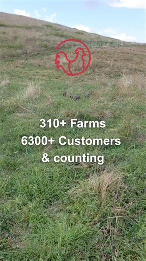 Sure, if you think more people need to know about this! Download Red Hen App to connect with your farmer! Now pick up, delivery and shipping. It's never been easier to buy directly from Farmers. | Regenerative Farmers of America