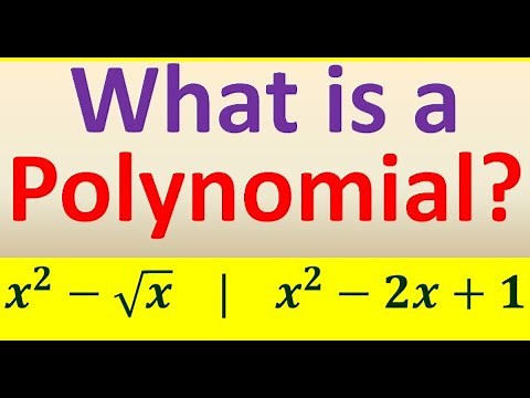 What is a Polynomial?