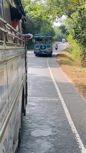 dilospeedcoach on TikTok