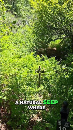 Lake Arrowhead Hiking Trails: Horseshoe Springs Natural Water Source
