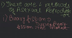 and Describe the different methods of asexual reproduction. Giv... | Filo