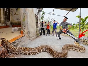 Brave Hunters Team Rescues Ethnic Girl Attacked by Anaconda Nest in Abandoned House