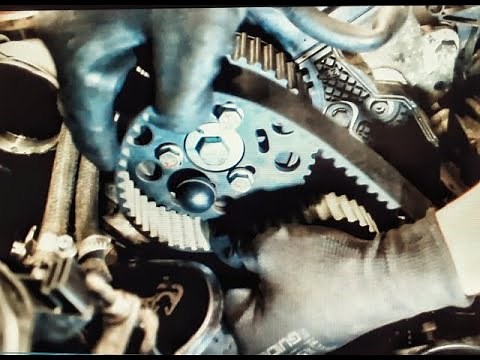 Distributie 1.9 TDI PD 131Hp #14