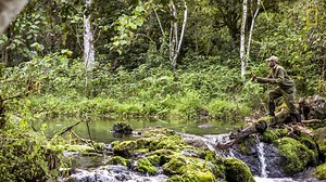 166K views · 539 reactions | "Fly-fishing, with its knot-tying, wading, and rhythmic casting, embodied a type of artistry that seemed a meditative antidote to the chaos I’d photographed in recent years." https://on.natgeo.com/2MPjMLW | National Geographic History | Facebook